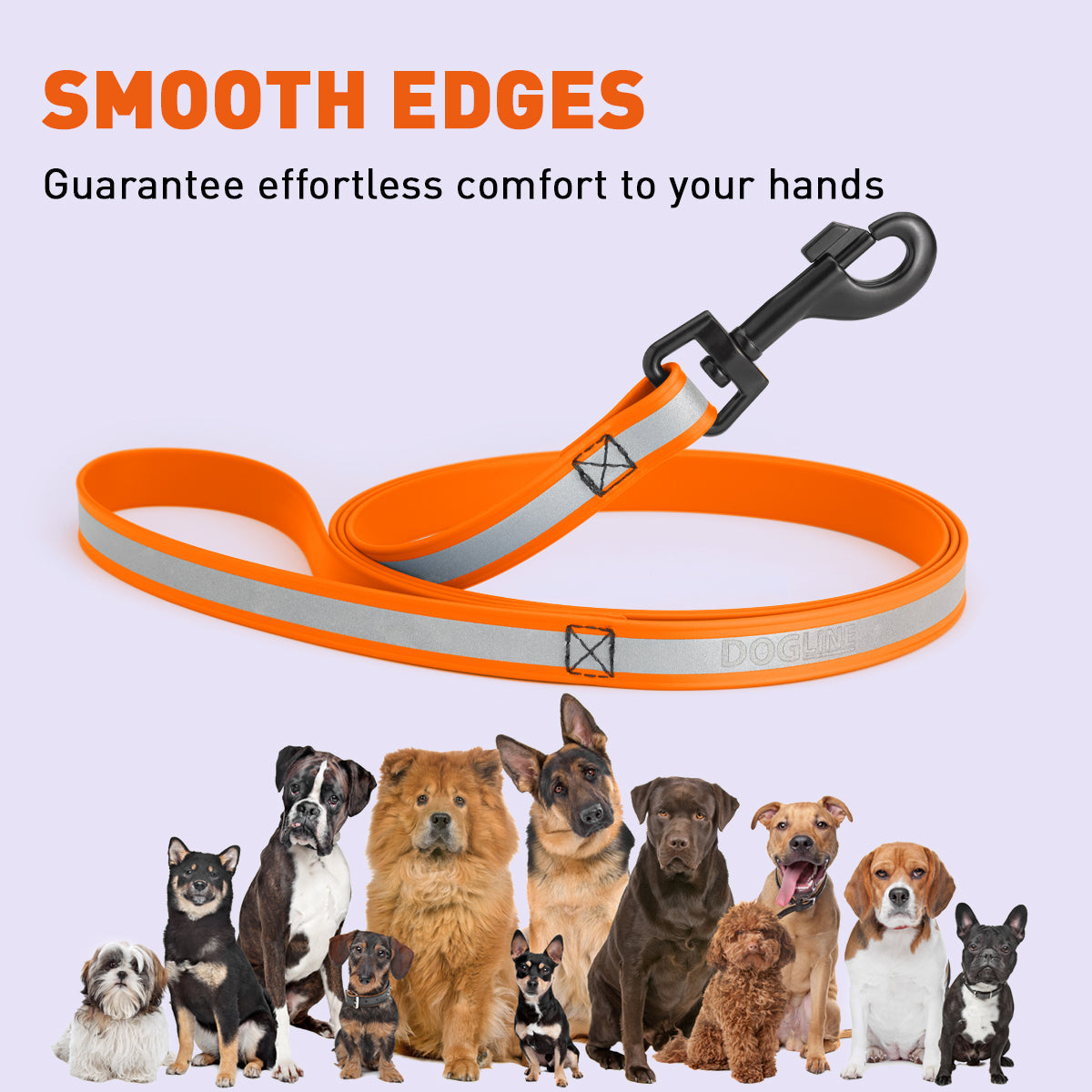 Reflective Biothane Dog Leash with Black Hardware