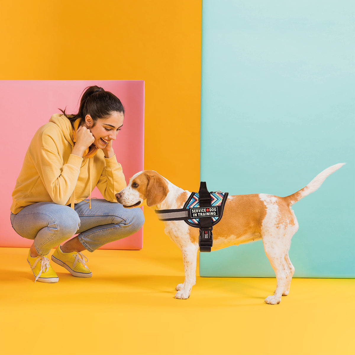 Dogline 3D Rubber Service Dog in Training Removable Accessories for Dog Harness and Vest