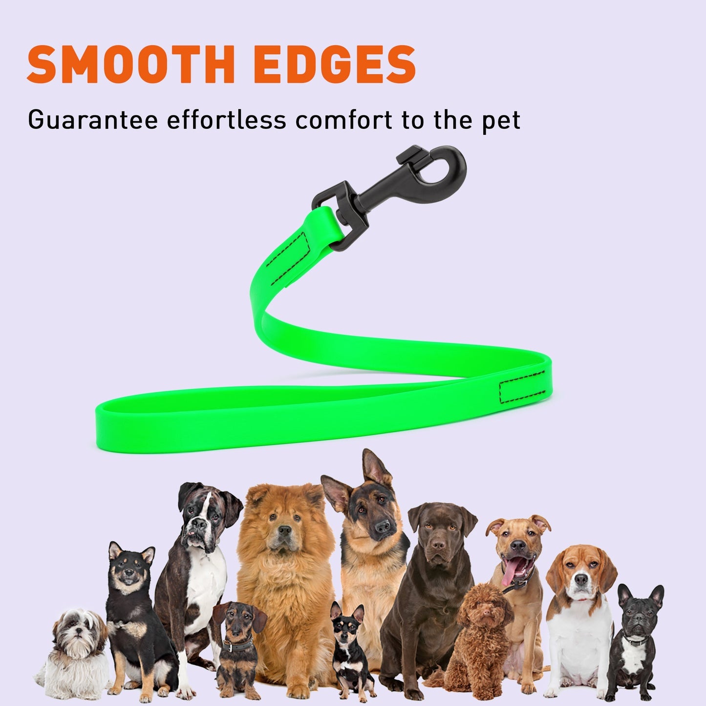 Biothane Waterproof Traffic Lead 2 ft