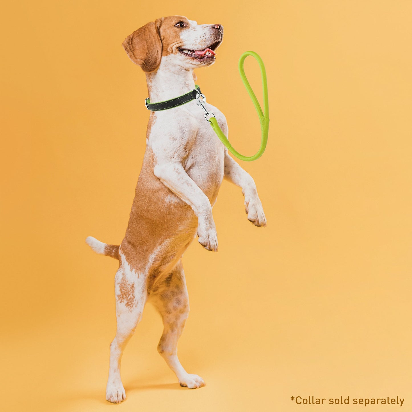 Soft Leather Round Traffic Lead