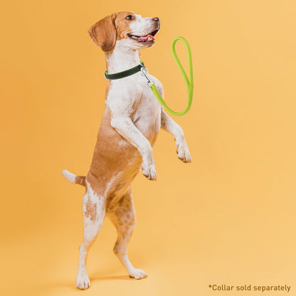 Soft Leather Round Traffic Lead