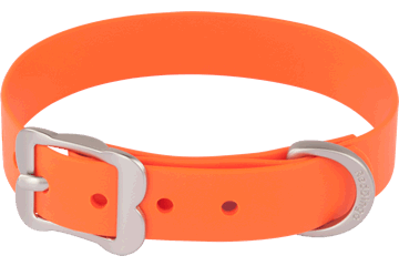 Vivid PVC Dog Collar
