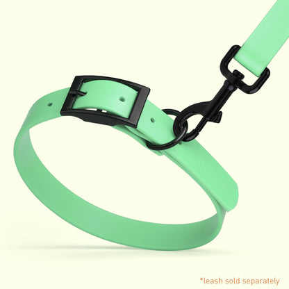 Biothane Waterproof Dog Collar - S (12 to 15 inches)