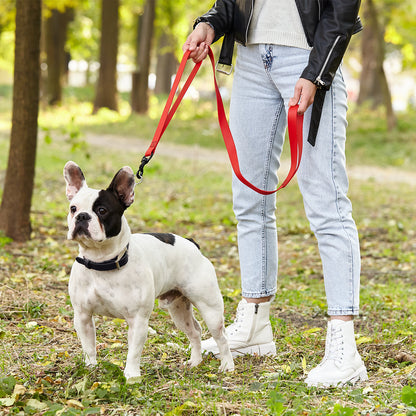 Biothane Waterproof Multi-Handle Dog Leash