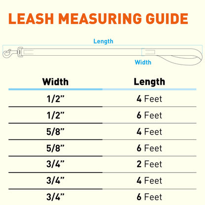 Biothane Waterproof Traffic Lead 2 ft