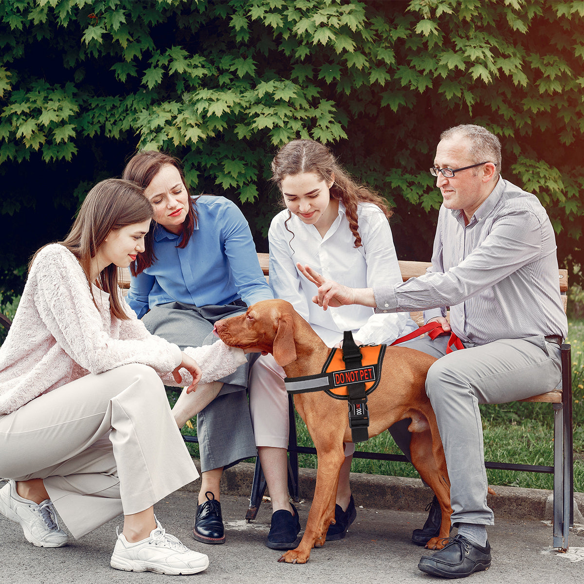 Dogline 3D Rubber Do Not Pet Removable Accessories for Dog Harness and Vest