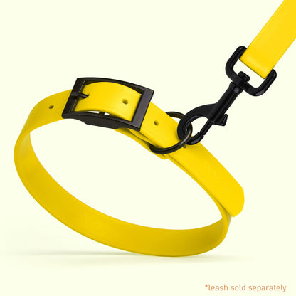 Biothane Waterproof Dog Collar - L (18 to 22 inches)