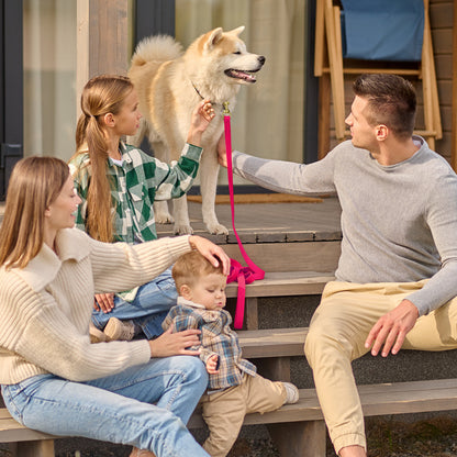 Viper Biothane Working Dog Lead, 6 Feet Long