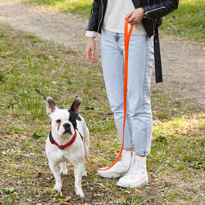 Biothane Waterproof Dog Leash 4 ft