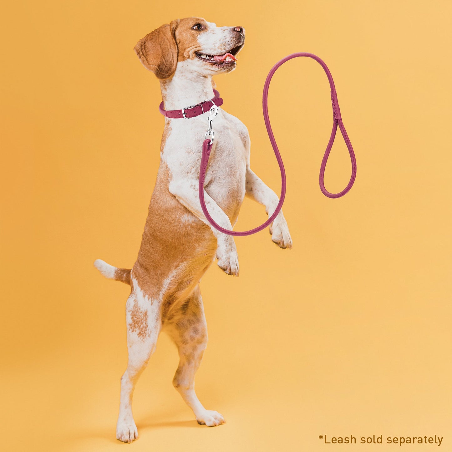 Soft Leather Round Dog Collar