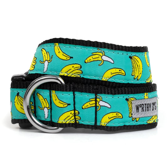 Go Bananas Collar
