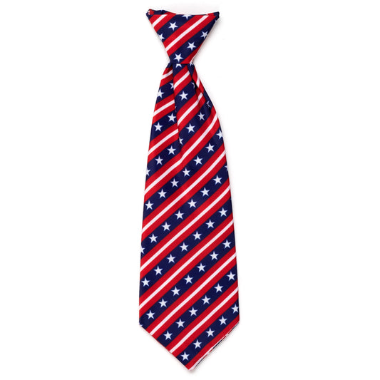 Bias Stars and Stripes Neck Tie