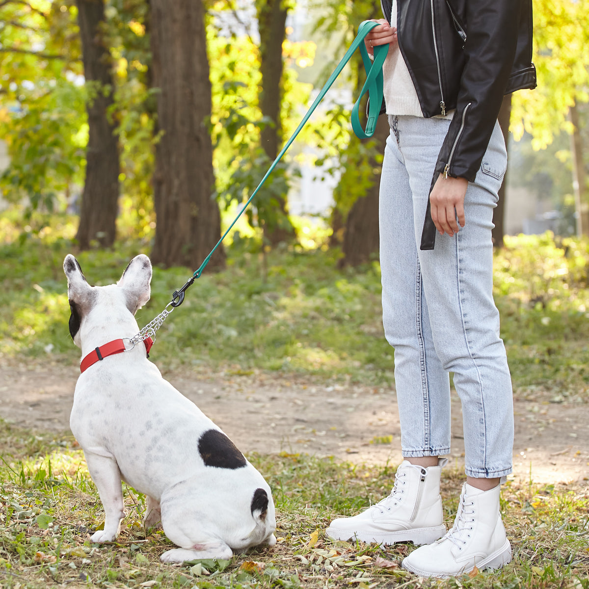 Biothane Waterproof Dog Leash 4 ft