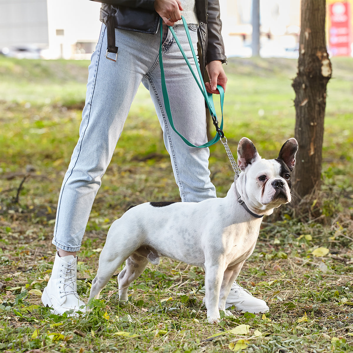 Biothane Waterproof Multi-Handle Dog Leash