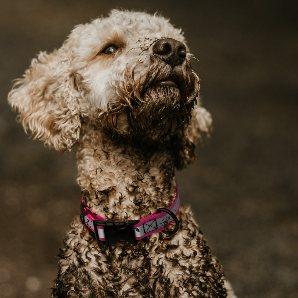 Dogline Biothane Reflective Dog Collar with Quick Release Buckle