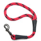Snap Leashes - Twist Series ("Double Colors")