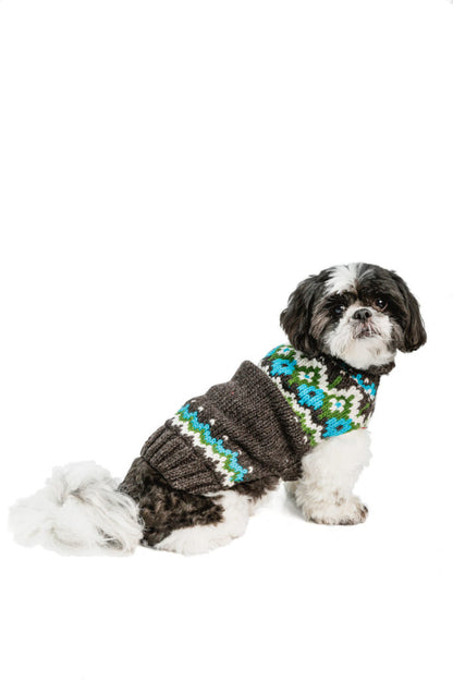 Shih Tzu dog wearing a brown, blue, green, and white patterned sweater