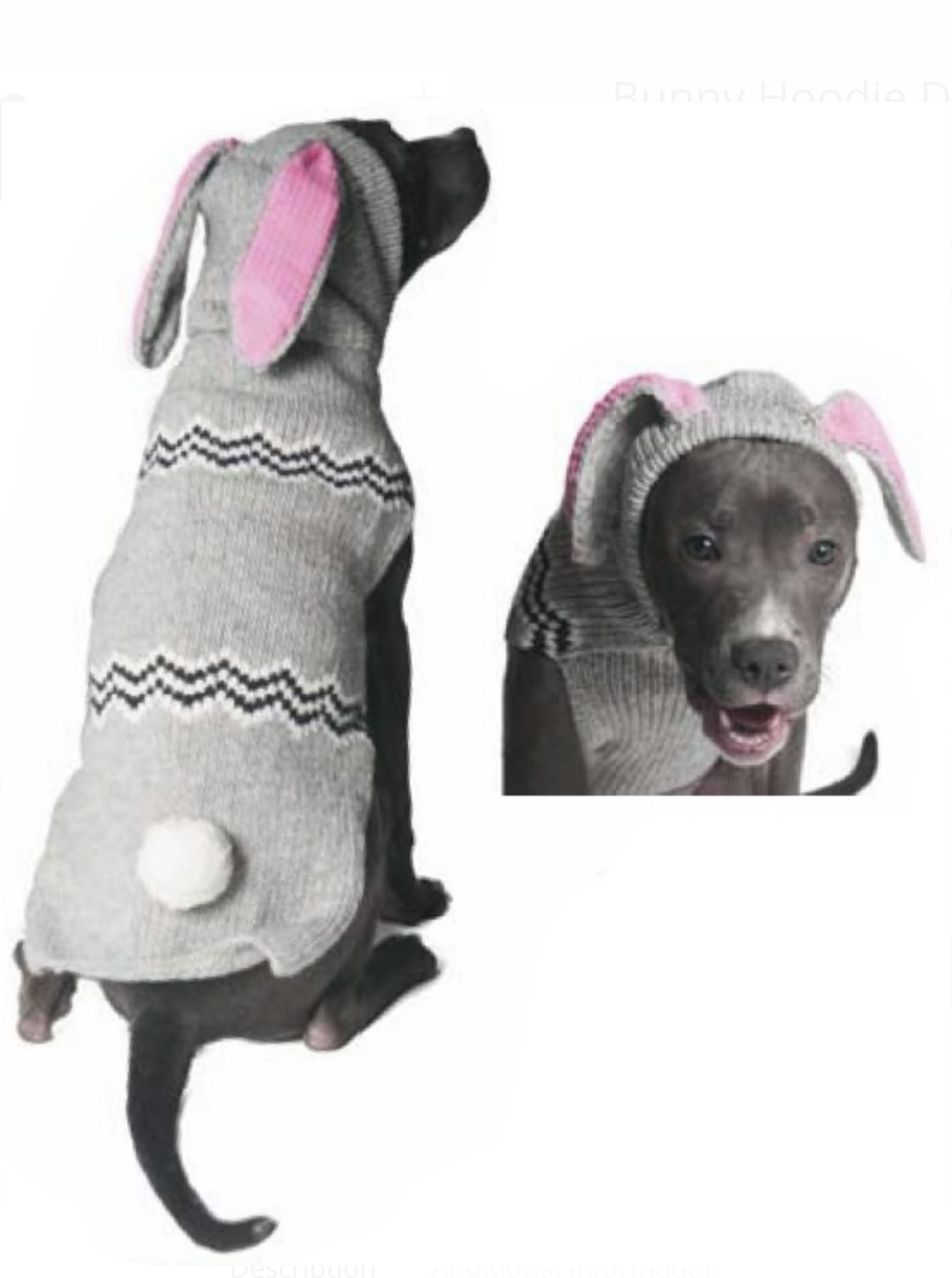 Characters Bunny Hoodie