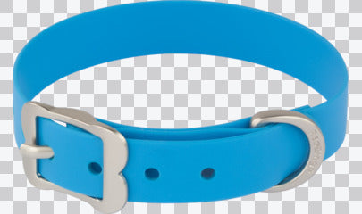 Vivid PVC Dog Collar