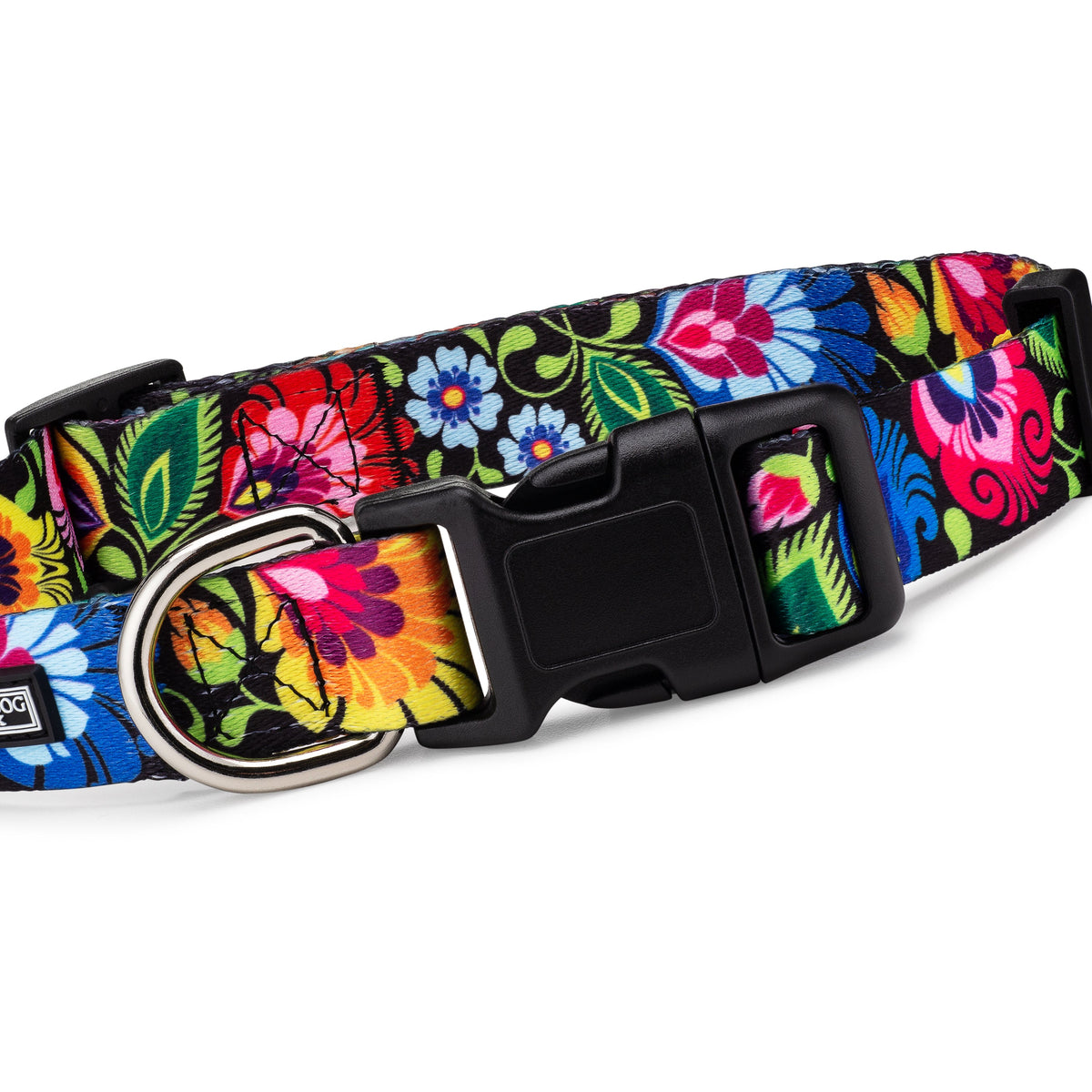 Blackbird Regular Collar