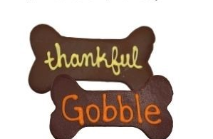 Gratitude 6"