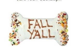 Fall Y'all 6"