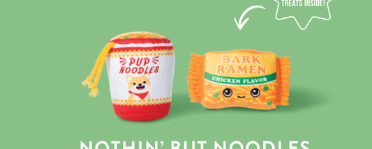 NOTHIN BUT NOODLES 2 PIECE DOG TOY SET Case of 4