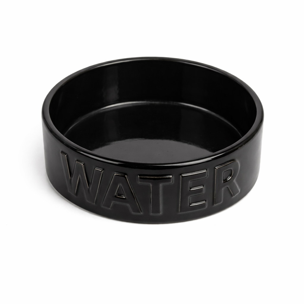 Classic Water Pet Bowl - Park Life Designs