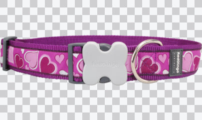 Buckle Bone Dog Collars - Design - Breezy Love
