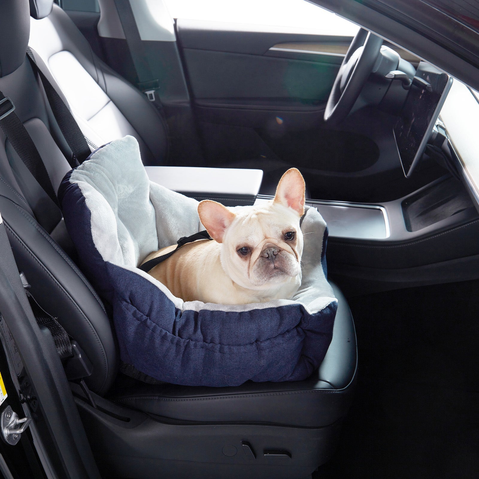 Plush High-Back Pet Car Booster Seat