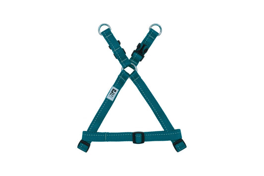 RC Pets Teal Momentum Harness