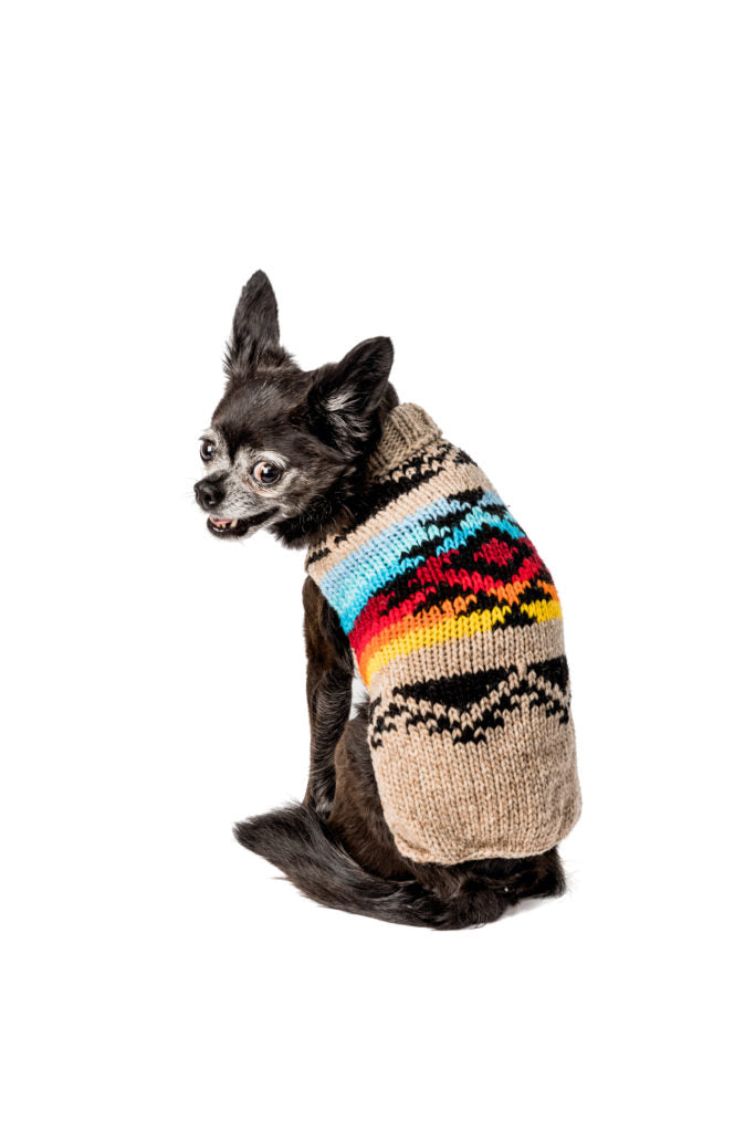 Chilly Dog Southwest Painted Desert sweater on a small black dog