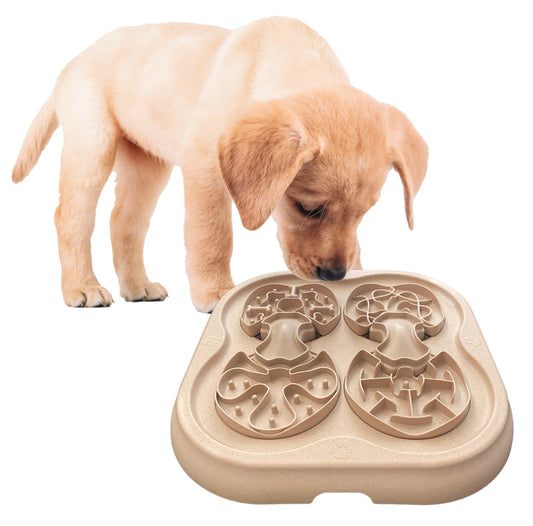 Hide 'n Seek 2-in-1 Slow Feeder & Nosework Puzzle Toy