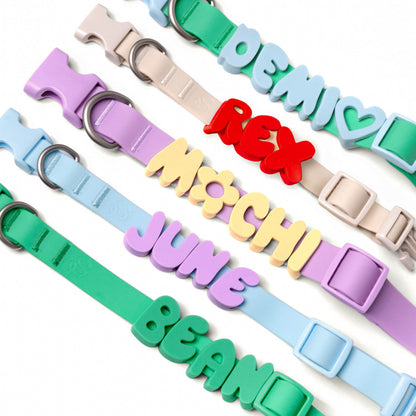 Silicone dog charms personalizing a collar and leash