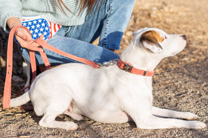 Leather Quick-Release Leash