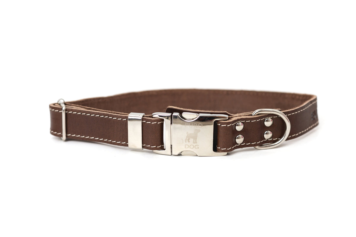 Leather Quick-Release Leash