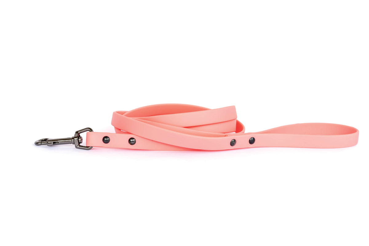 Waterproof Leash