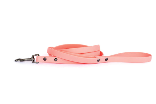 Waterproof Leash