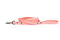 Waterproof Leash
