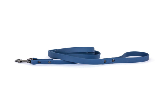 Waterproof Leash