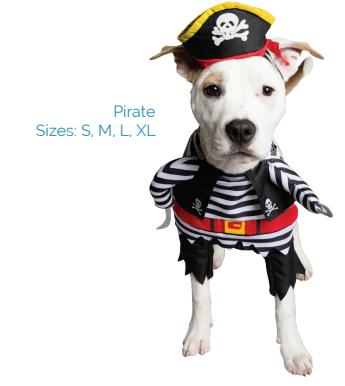 Pirate Costume