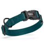 Nylon Flat Dog Collar