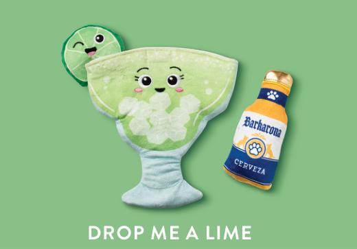 DROP ME A LIME HIDE AND SEEK DOG TOY Case of 4