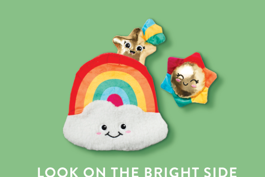 LOOK ON BRIGHT SIDE HIDE & SEEK DOG TOY Case of 4