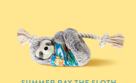 SLOWN' DOWN FOR SUMMER SLOTH PET TOY Case of 4
