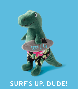 SURFER BRO REX-PLUSH DOG TOY Case of 4