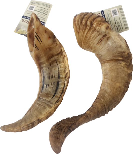 Water Buffalo & Goat Horns
