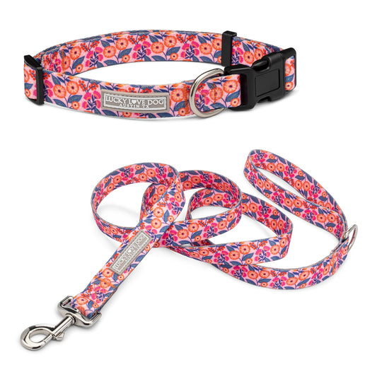 Rosie Regular Collar