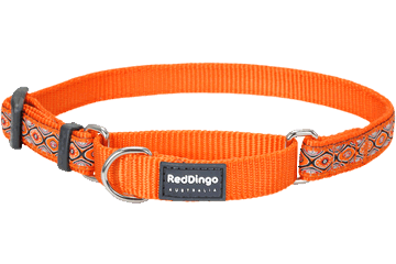 Martingale Dog Collars - Design