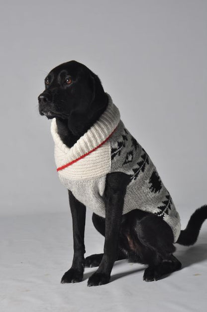 Black dog wearing a grey and white patterned sweater with a red stripe on the collar